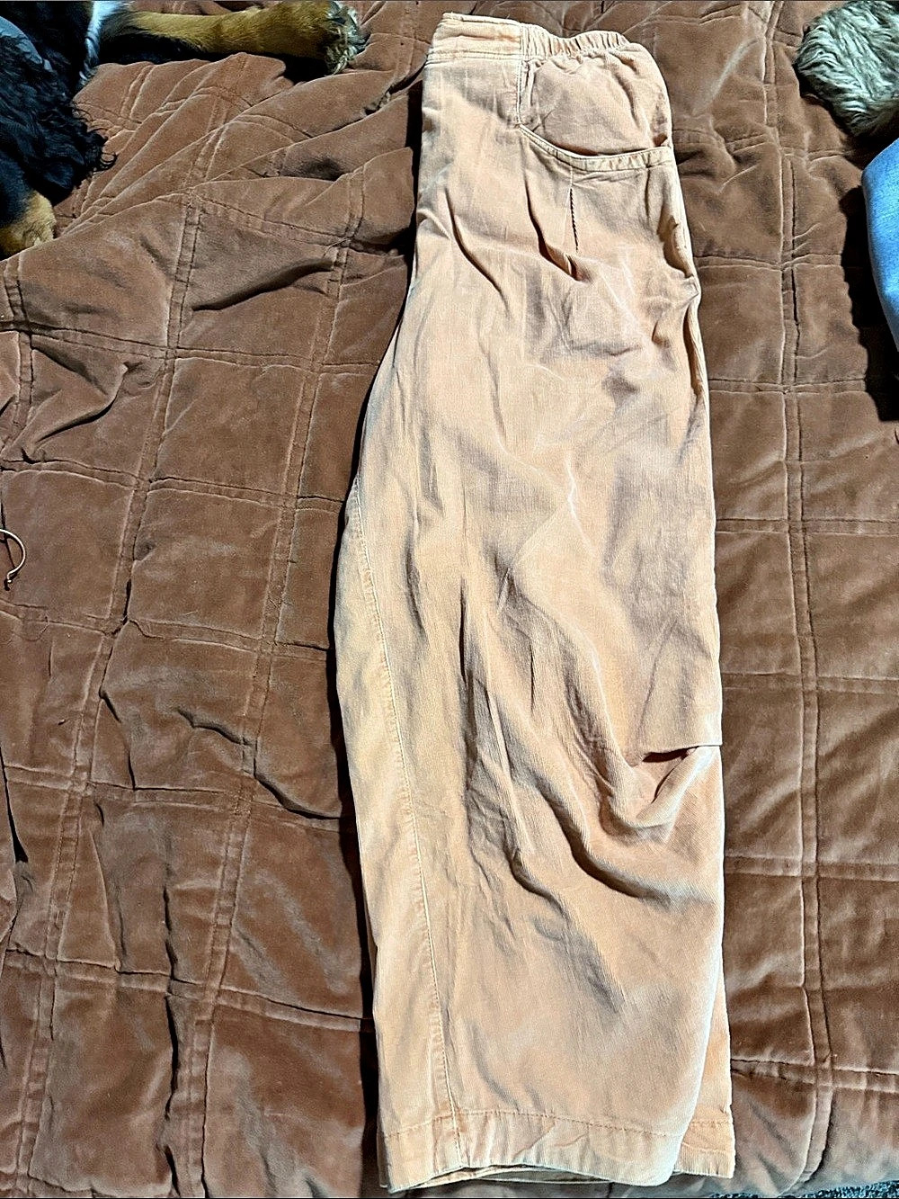 We The Free Corduroy barrel Leg Pants in Size Medium NWT